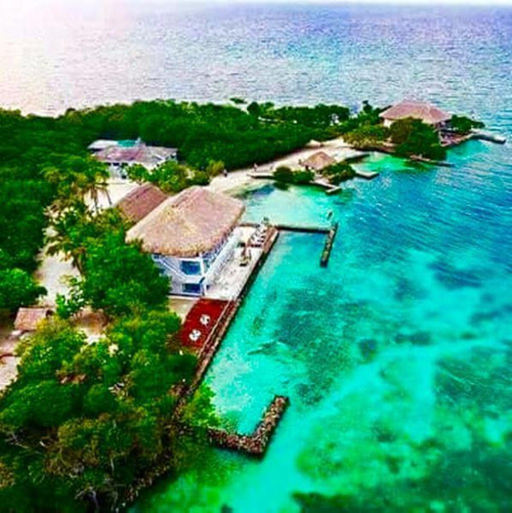 Featured Photo