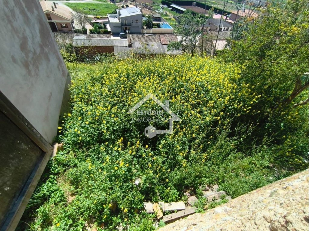 Featured Photo