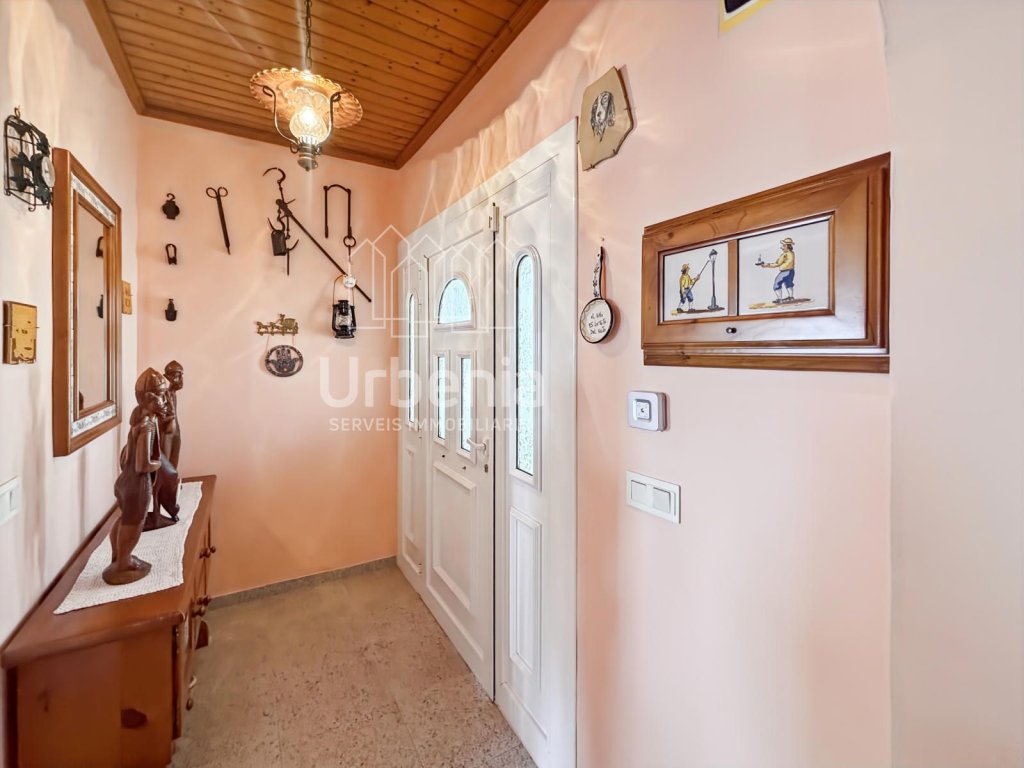 Featured Photo