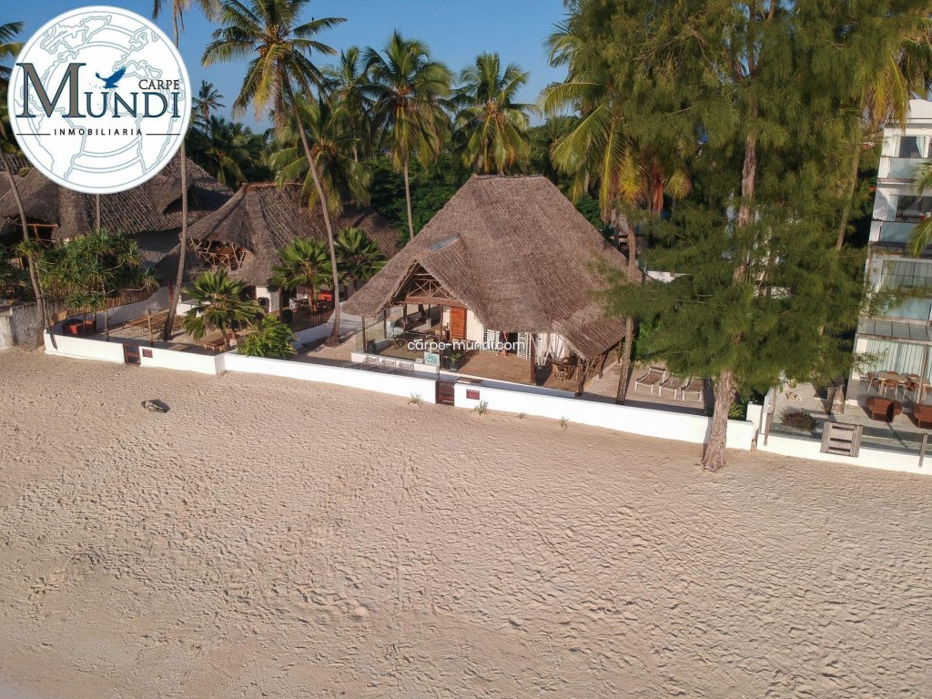 Featured Photo