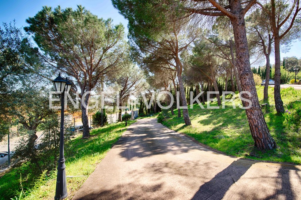Featured Photo