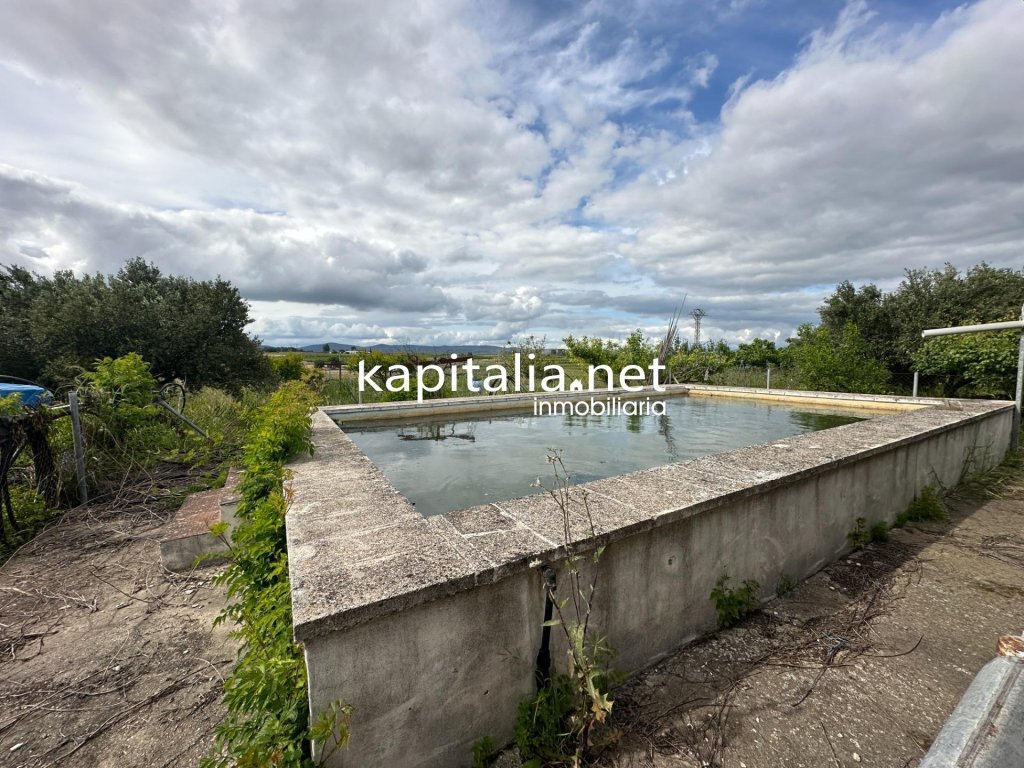 Featured Photo