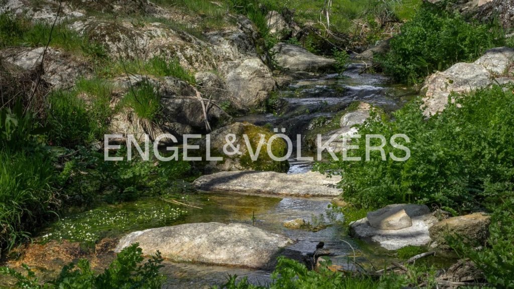 Featured Photo