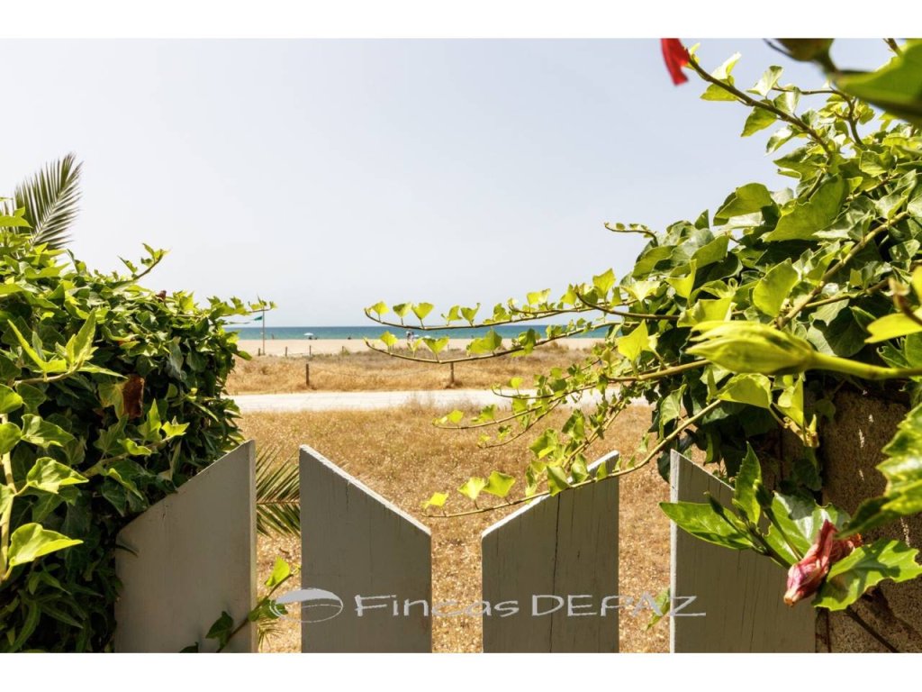 Featured Photo