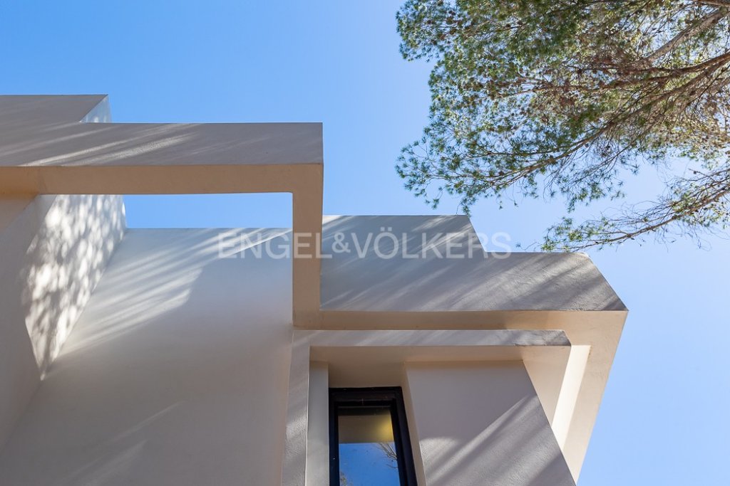 Featured Photo