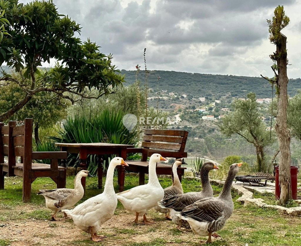 Featured Photo