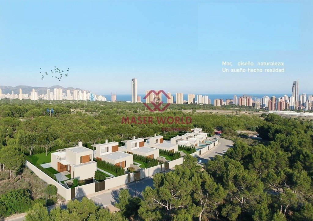 Featured Photo