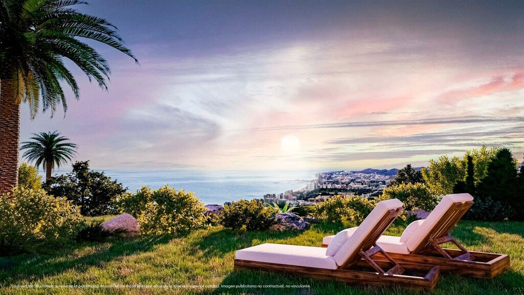 Featured Photo