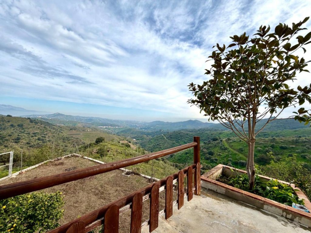 Featured Photo