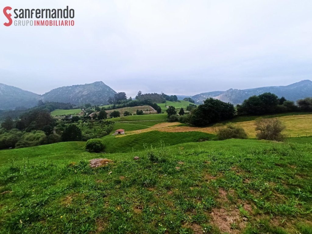 Featured Photo