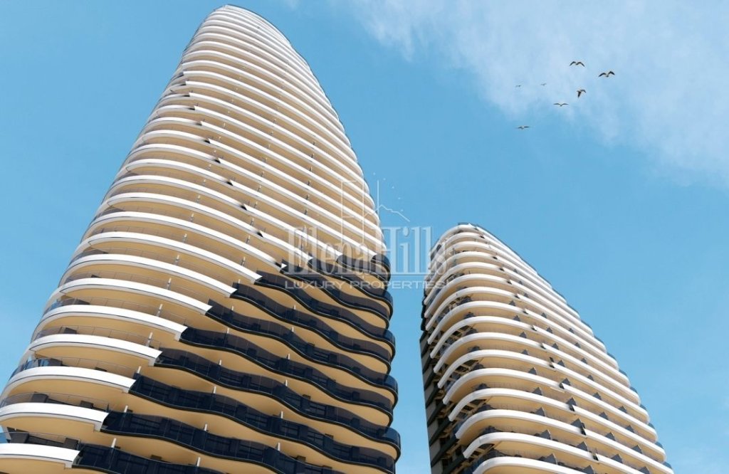 Featured Photo