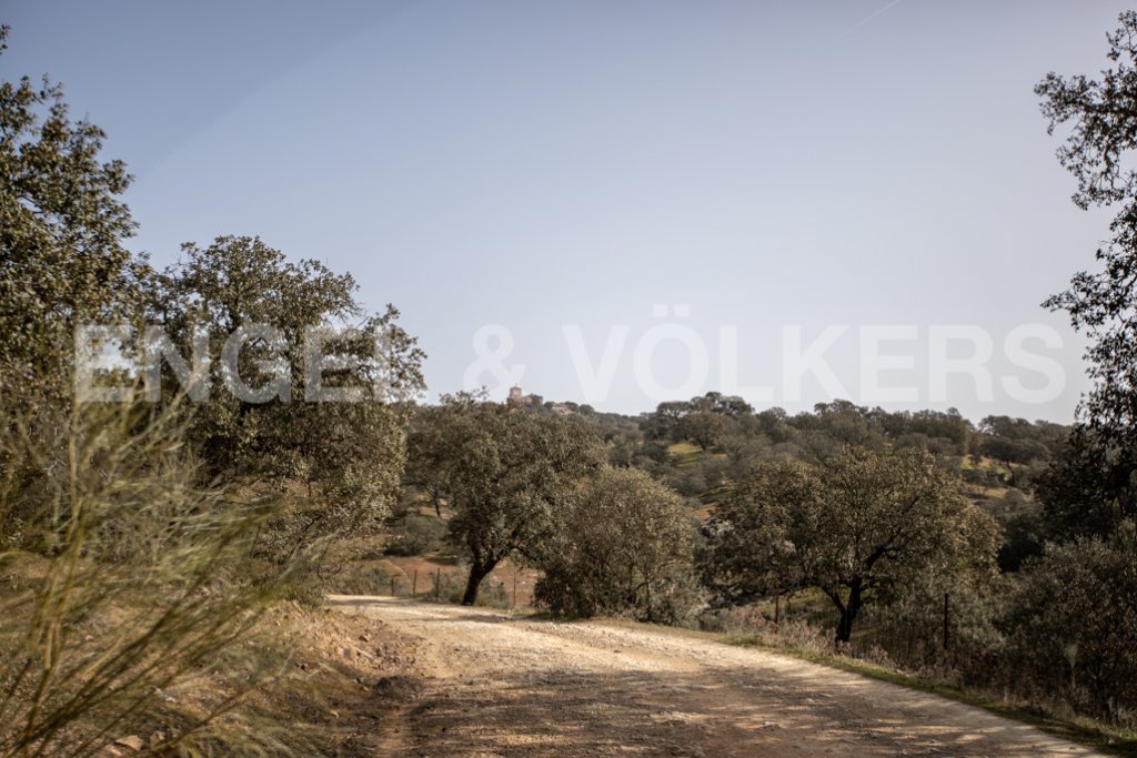 Featured Photo