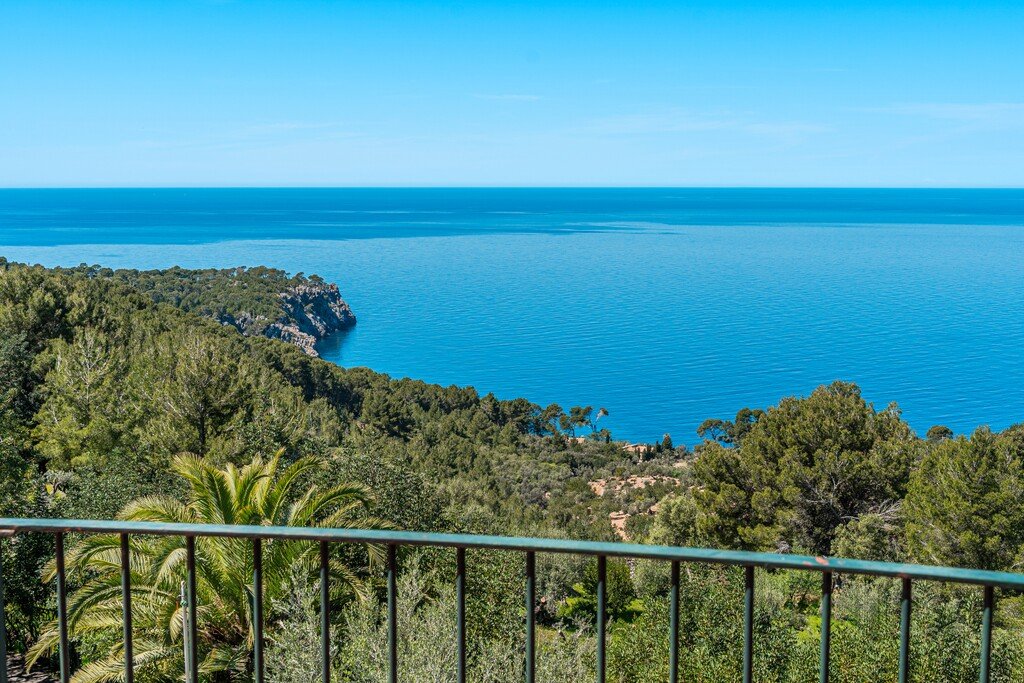 Featured Photo