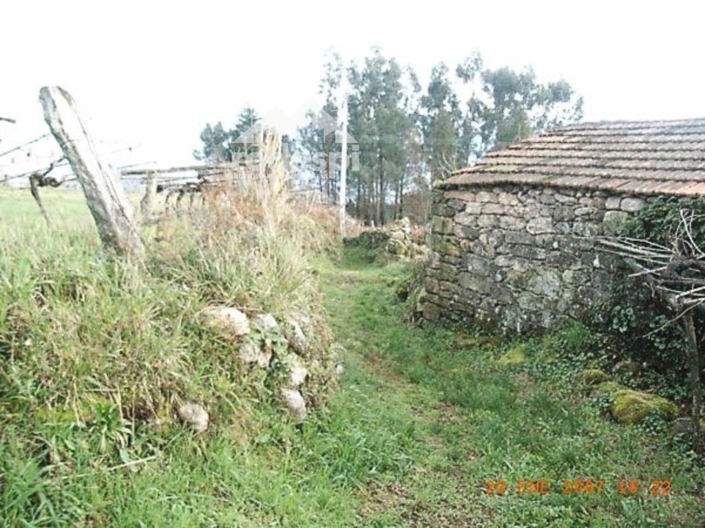 Featured Photo