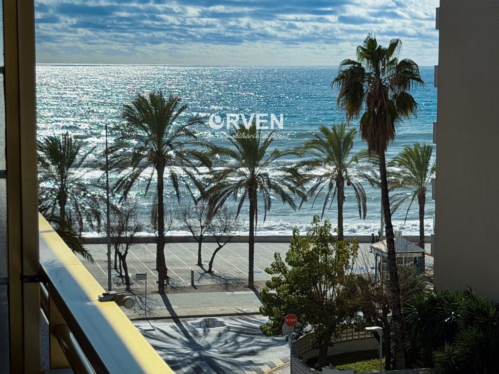 Featured Photo