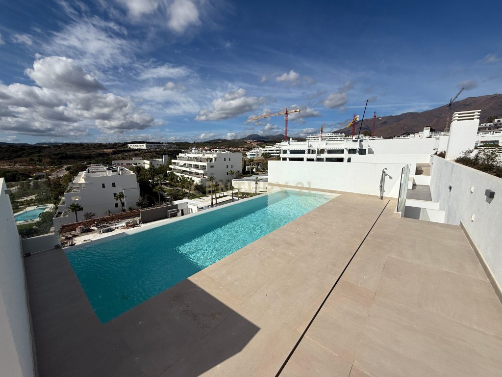 Featured Photo
