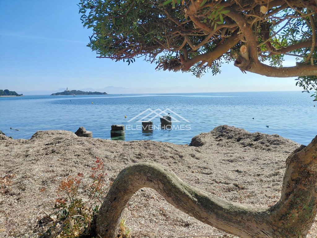 Featured Photo