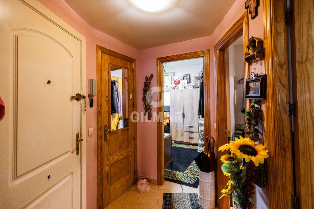 Featured Photo