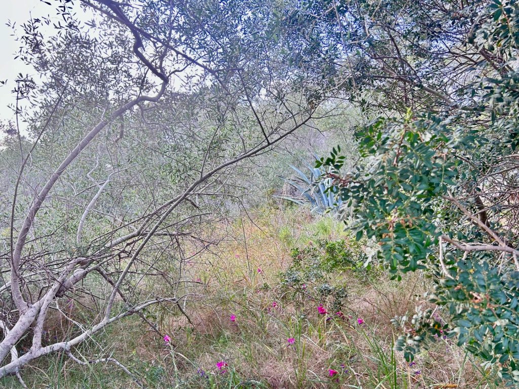 Featured Photo