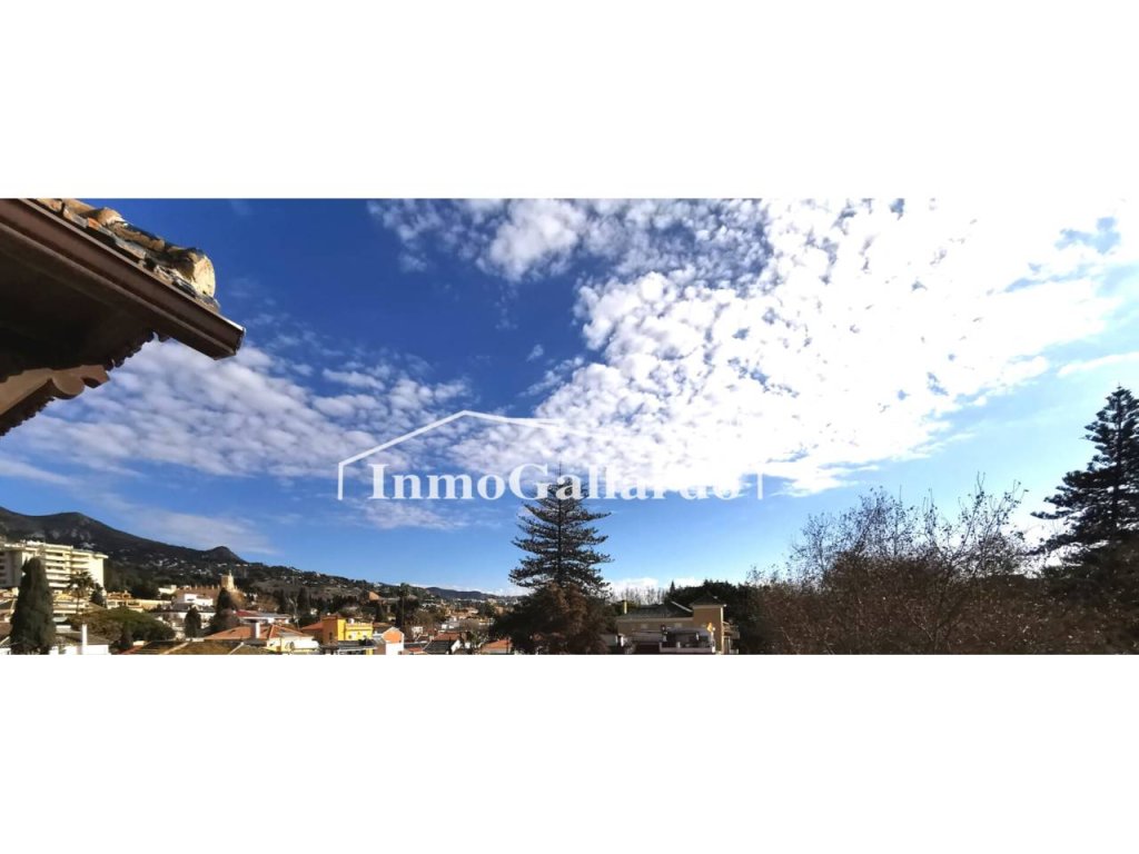 Featured Photo