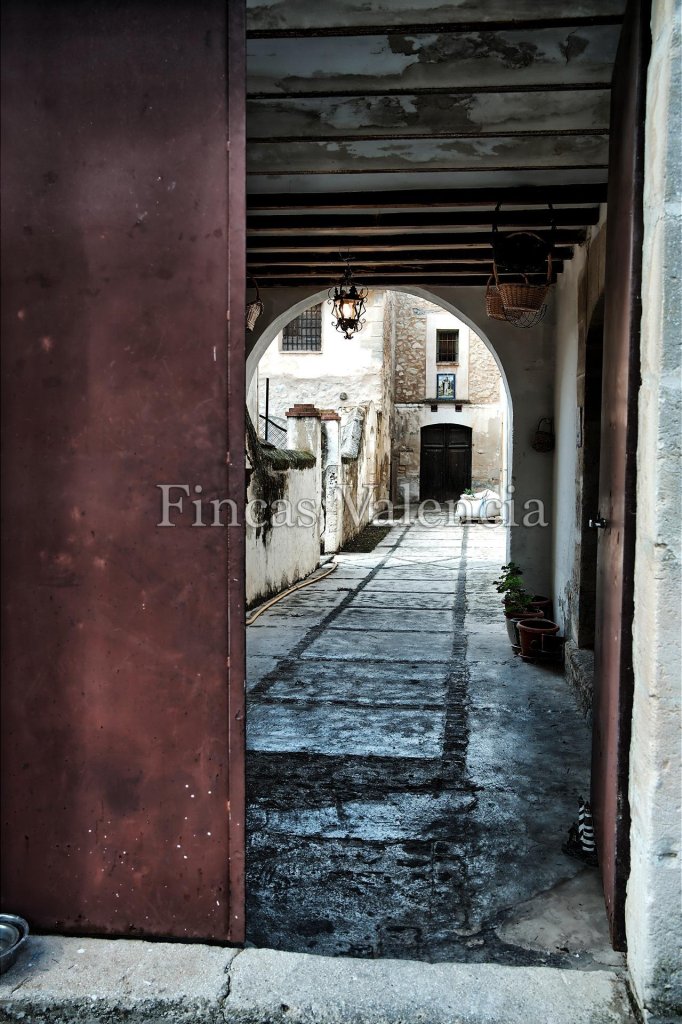 Featured Photo