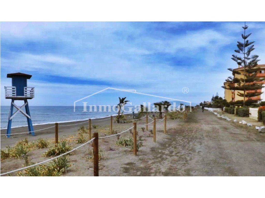 Featured Photo
