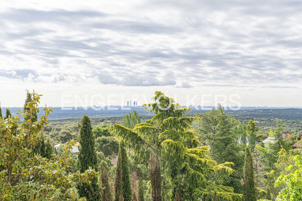 Featured Photo