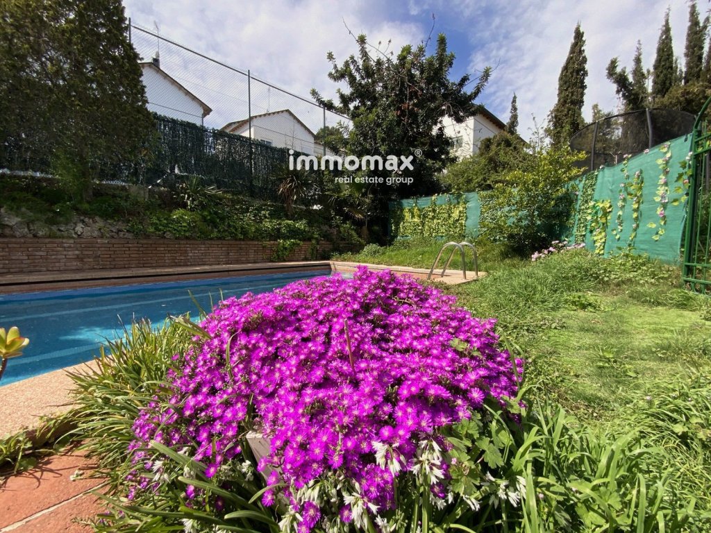 Featured Photo