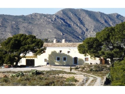 property-image