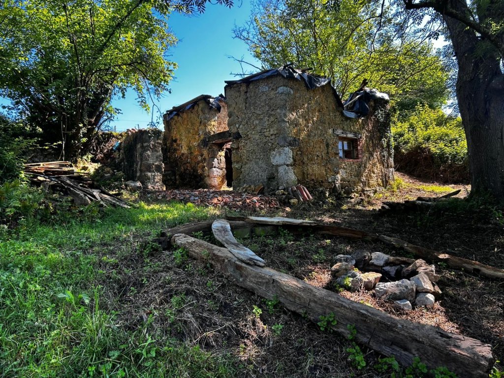 Featured Photo