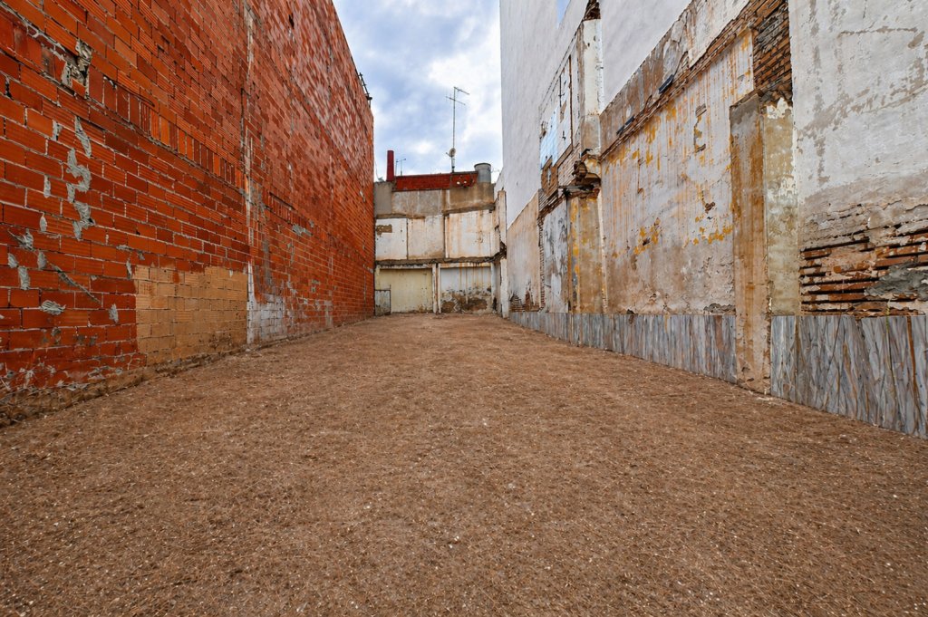 Featured Photo