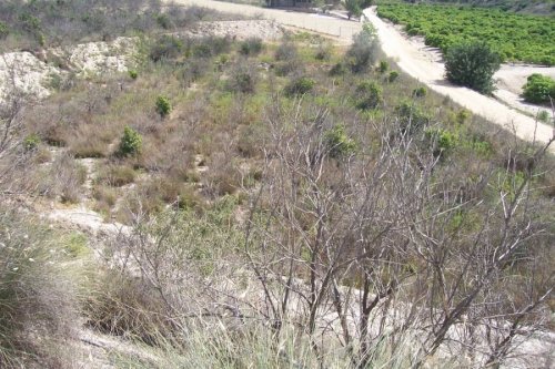 property-image