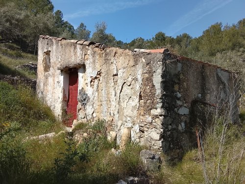 property-image