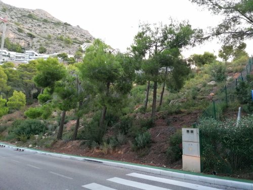 property-image