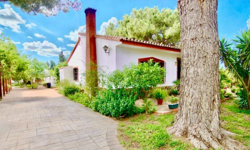 property-image