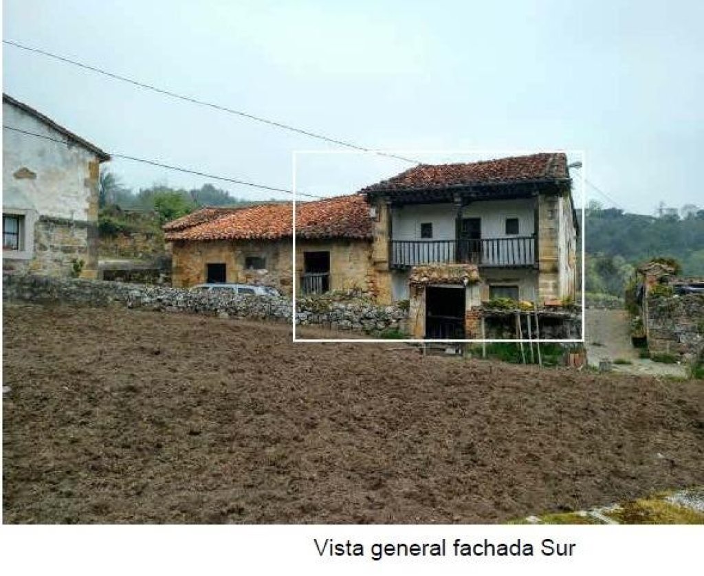 Featured Photo