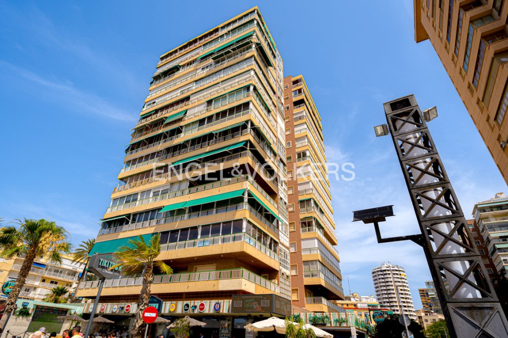 Featured Photo