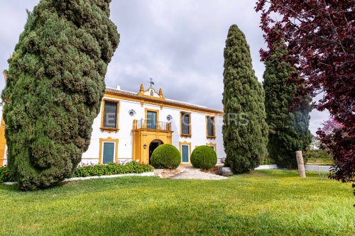 property-image