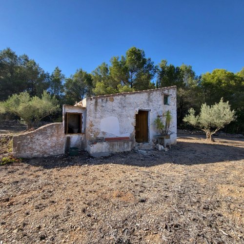 property-image