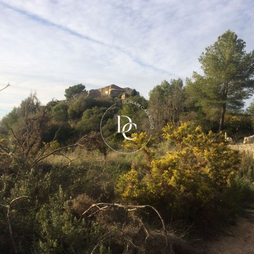 property-image