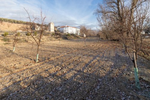property-image