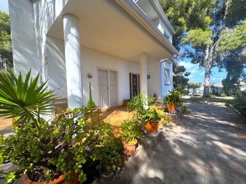 property-image