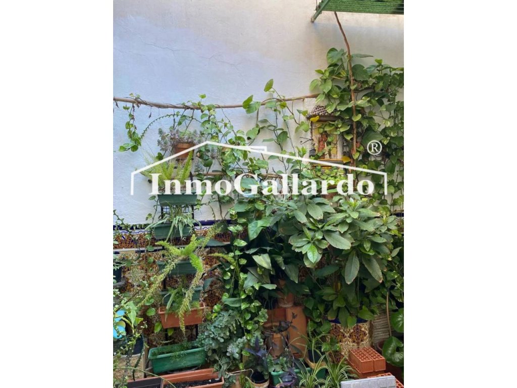 Featured Photo