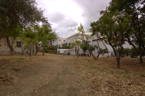 property-image