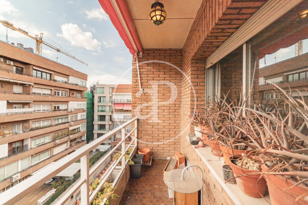 Featured Photo