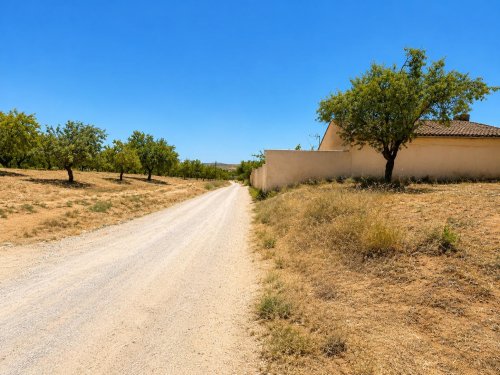 property-image
