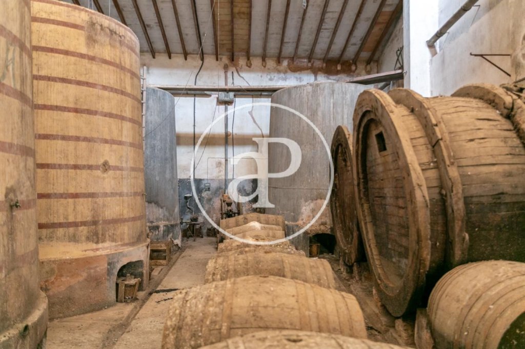 Featured Photo