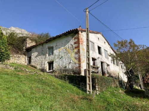property-image