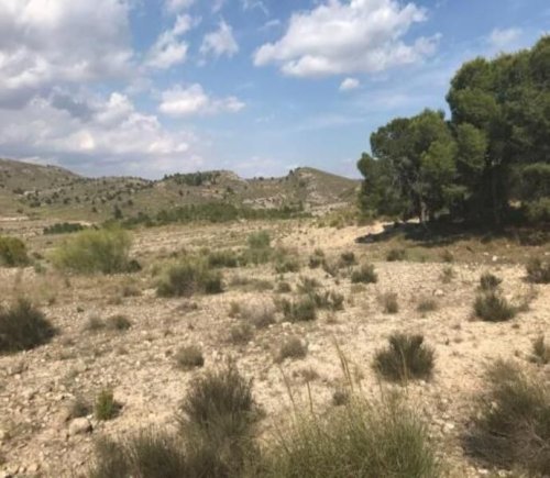 property-image