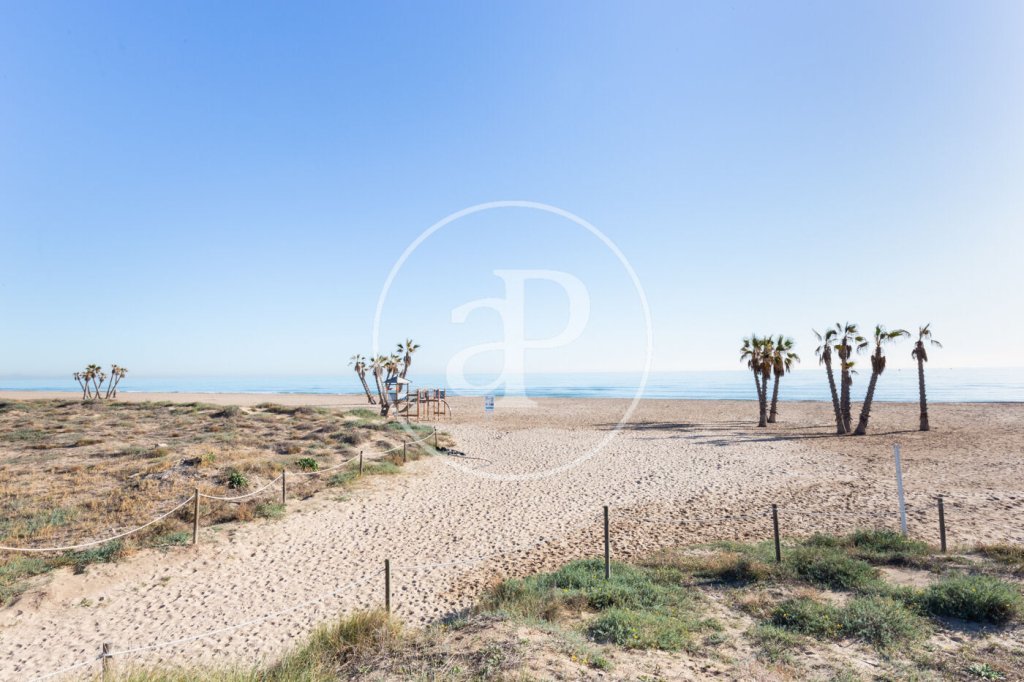 Featured Photo